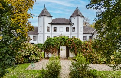 Schloss kaufen 4693 Desselbrunn, Oberösterreich, Verwunschen ranken Wein und Hortensien