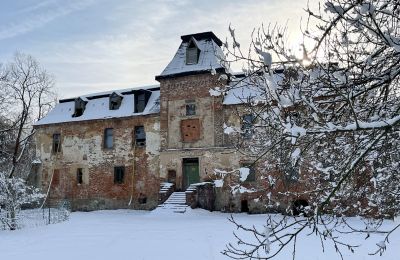 Schloss erwerben Komorowice, Wrocławska 27, Niederschlesien, Foto 21/27