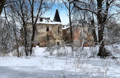 Schloss erwerben Komorowice, Wrocławska 27, Niederschlesien, Foto 24/27