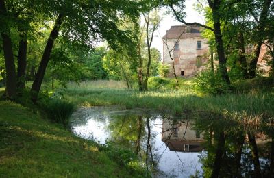 Schloss erwerben Komorowice, Wrocławska 27, Niederschlesien, Park