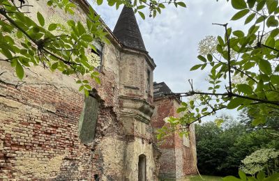 Schloss erwerben Komorowice, Wrocławska 27, Niederschlesien, Foto 3/27