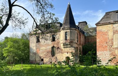 Schloss erwerben Komorowice, Wrocławska 27, Niederschlesien, Foto 4/27