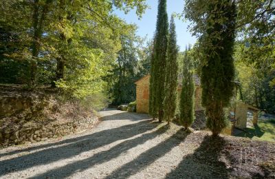 Casa di campagna in vendita 06019 Umbertide, Umbria, Foto 22/47
