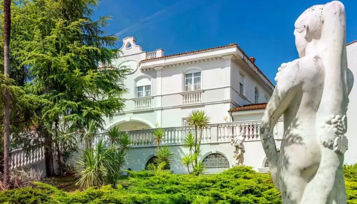 Villa Beatrice – Residenza storica con 1,4 ettari di parco e vigneto a Massa-Carrara