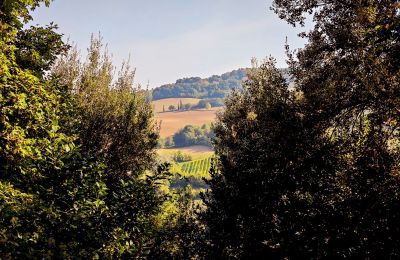 Casa di campagna in vendita 40060 Dozza, Ferraruola  1, Emilia-Romagna, Vista