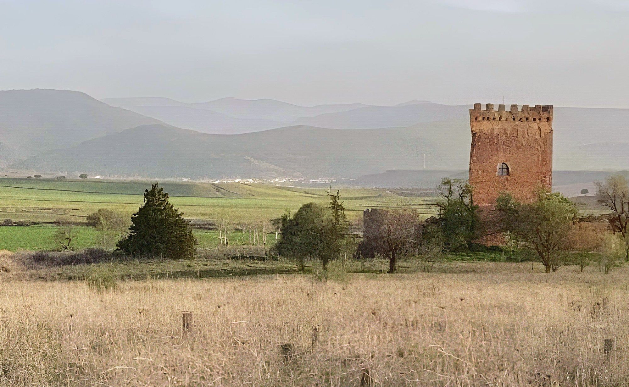 Immagini Torre Gorgoji