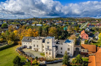Castello Trnová, Regione della Boemia Centrale
