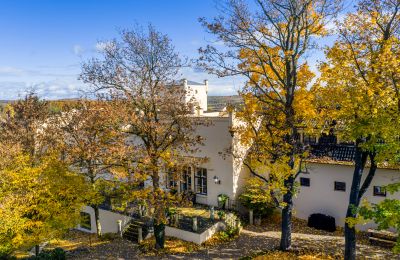 Château à vendre Trnová, okres Praha-západ, Image 32/53