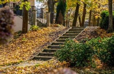 Château à vendre Trnová, okres Praha-západ, Image 51/53