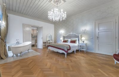 Château à vendre Trnová, okres Praha-západ, Image 9/53