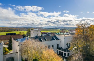 Château à vendre Trnová, okres Praha-západ, Image 28/53