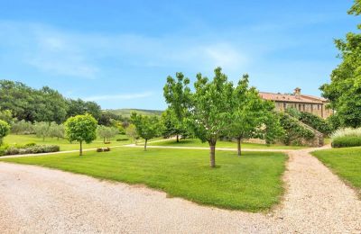 Landhaus erwerben Borgo Santa Rita, Toskana, Foto 5/31