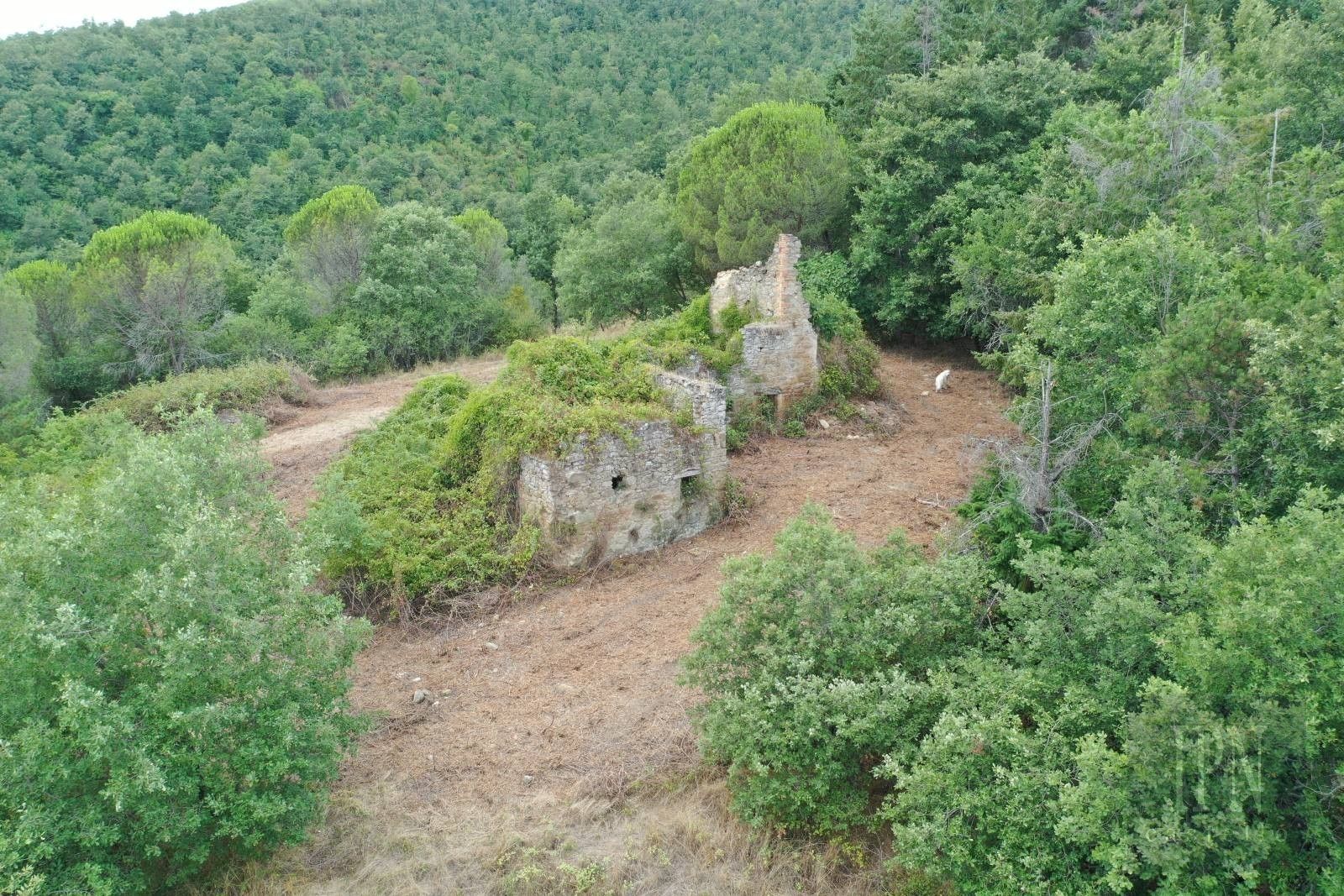 Immagini Casa di campagna a Pian di Marte con rudere e 2,8 ha di terreno