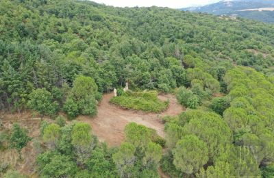 Casa di campagna in vendita 06060 Pian di Marte, Umbria, Foto 10/14