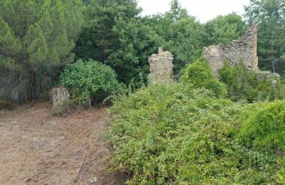 Casa di campagna in vendita 06060 Pian di Marte, Umbria, Foto 13/14