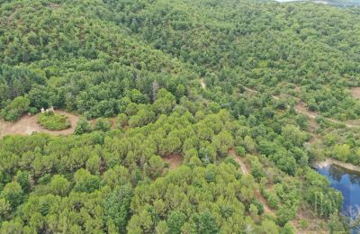 Casa di campagna in vendita 06060 Pian di Marte, Umbria, Foto 14/14