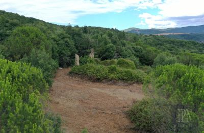 Casa di campagna in vendita 06060 Pian di Marte, Umbria, Foto 2/14