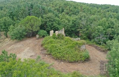 Casa di campagna in vendita 06060 Pian di Marte, Umbria, Foto 3/14