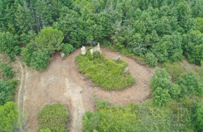 Casa di campagna in vendita 06060 Pian di Marte, Umbria, Foto 5/14