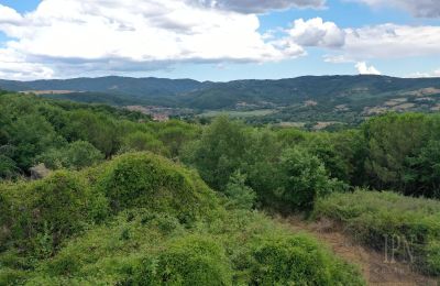 Casa di campagna in vendita 06060 Pian di Marte, Umbria, Foto 6/14