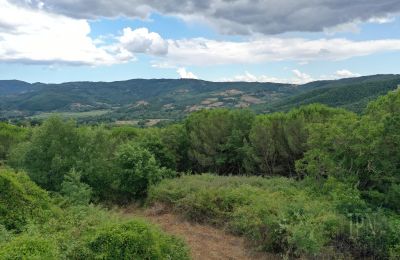 Casa di campagna in vendita 06060 Pian di Marte, Umbria, Foto 7/14