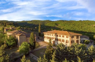 Villa padronale in vendita Castellina in Chianti, Toscana, Foto 28/29