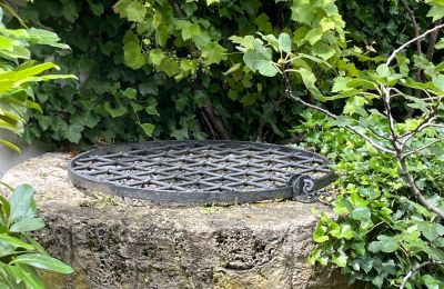 Château à vendre 84375 Kirchdorf am Inn, Hofmarkstraße 2, Bavière, Schlossbrunnen