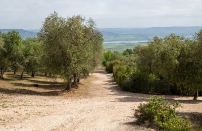 Casa di campagna in vendita Miglionico, Basilicata, Foto 22/23