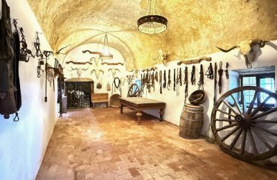 Castello medievale in vendita San Vicente de Alcántara, Extremadura, Foto 18/36