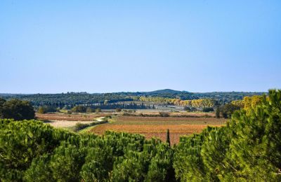 Castello medievale in vendita Pouzilhac, Occitania, Foto 43/43