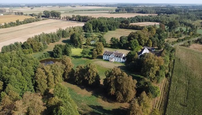 Manoir à vendre Mołomotki-Dwór, Mazovie