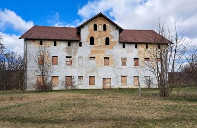Herrenhaus/Gutshaus kaufen Lipa, Pałac w Lipie Dolnej 10, Niederschlesien,, Vorderansicht