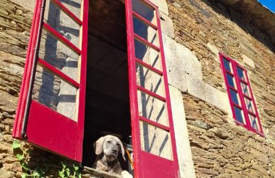 Manoir à vendre Galice, Image 10/48