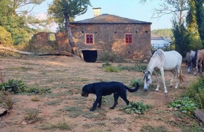 Manoir à vendre Galice, Image 12/48