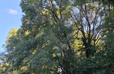 Manoir à vendre Galice, Image 32/48