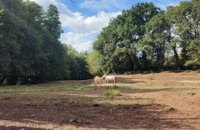 Manoir à vendre Galice, Image 46/48