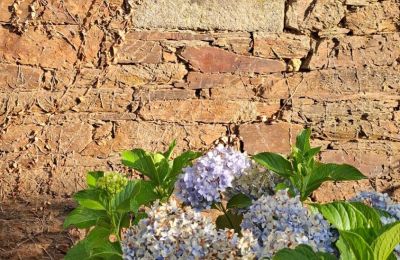 Manoir à vendre Galice, Image 8/48