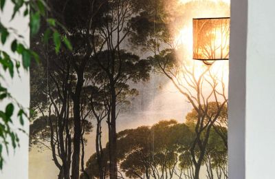 Historische Immobilie kaufen Uzès, Okzitanien, Foto 25/46