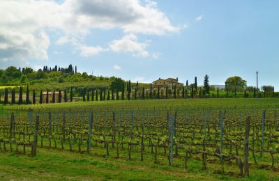 Landhaus kaufen Sarteano, Toskana, Foto 49/50