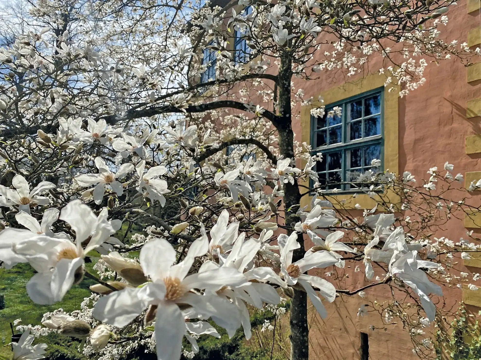 Fotos Wasserburg Turow – Historisches Ensemble mit 19 Hektar Grund