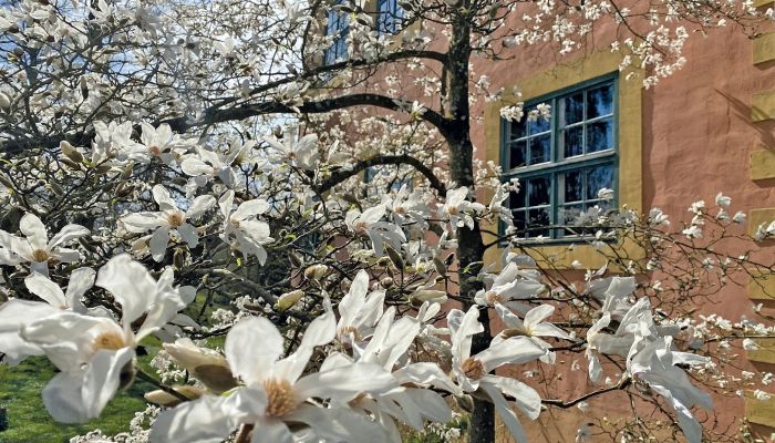 Burg erwerben Mecklenburg-Vorpommern