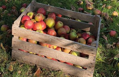 Burg erwerben Mecklenburg-Vorpommern, Foto 78/96