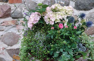 Burg erwerben Mecklenburg-Vorpommern, Foto 53/96