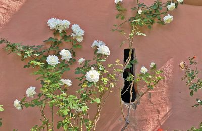 Burg erwerben Mecklenburg-Vorpommern, Foto 45/96