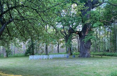 Burg erwerben Mecklenburg-Vorpommern, Foto 68/96