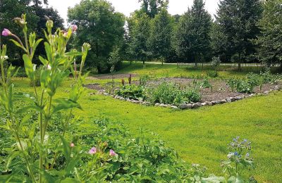 Burg erwerben Mecklenburg-Vorpommern, Foto 64/96