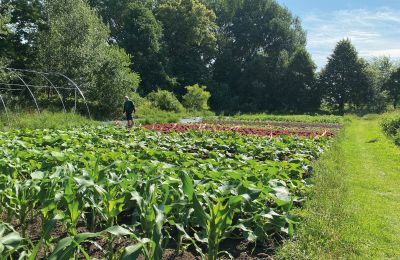 Burg erwerben Mecklenburg-Vorpommern, Foto 62/96