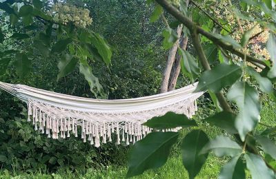 Burg erwerben Mecklenburg-Vorpommern, Foto 70/96