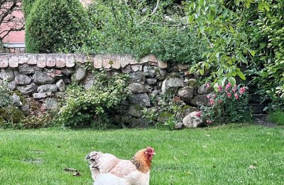 Burg erwerben Mecklenburg-Vorpommern, Foto 75/96