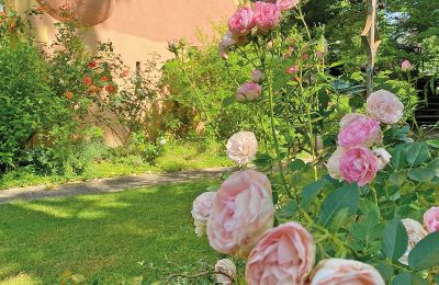 Burg erwerben Mecklenburg-Vorpommern, Foto 46/96